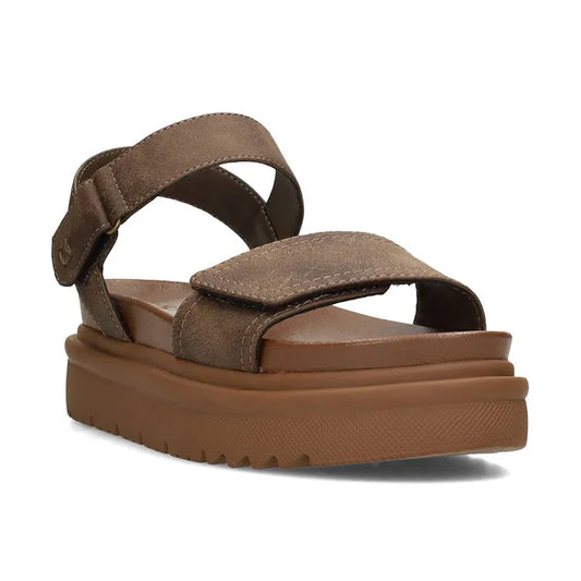 Women's Ledo Chocolate