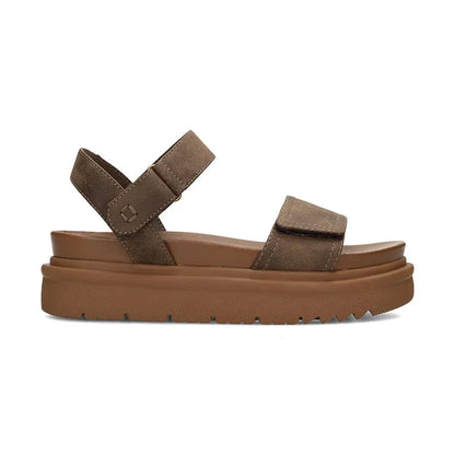 Women's Ledo Chocolate